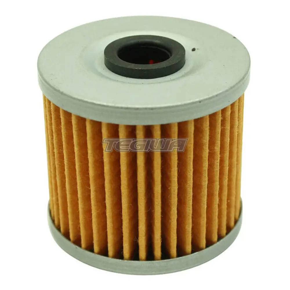 AEM High Volume Fuel Filter Element Replacement for 25-200BK and 35-4006