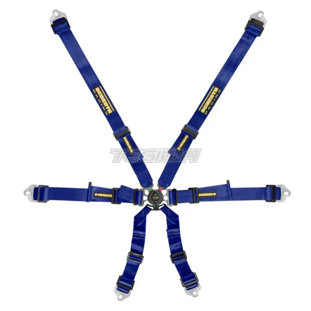 Schroth Fhr 6 Point Flexi Harness Blue Harnesses