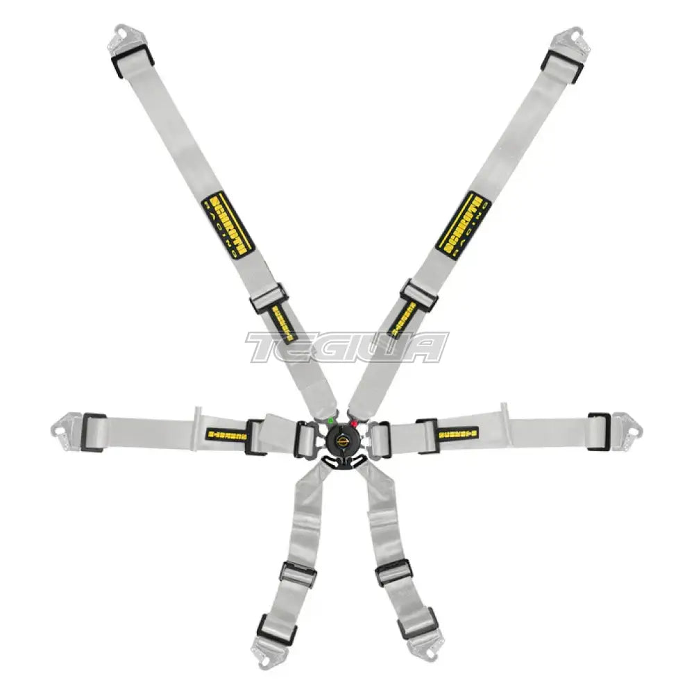 Schroth Fhr 6 Point Flexi Harness Silver Harnesses