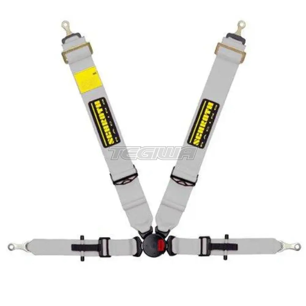 Schroth Profi Ii-Fe Asm 4 Point Professional Restraint Silver / Left Harnesses