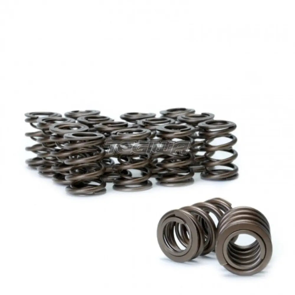 Skunk2 Alpha Series Valve Spring Kit Honda B-Series B16 B18