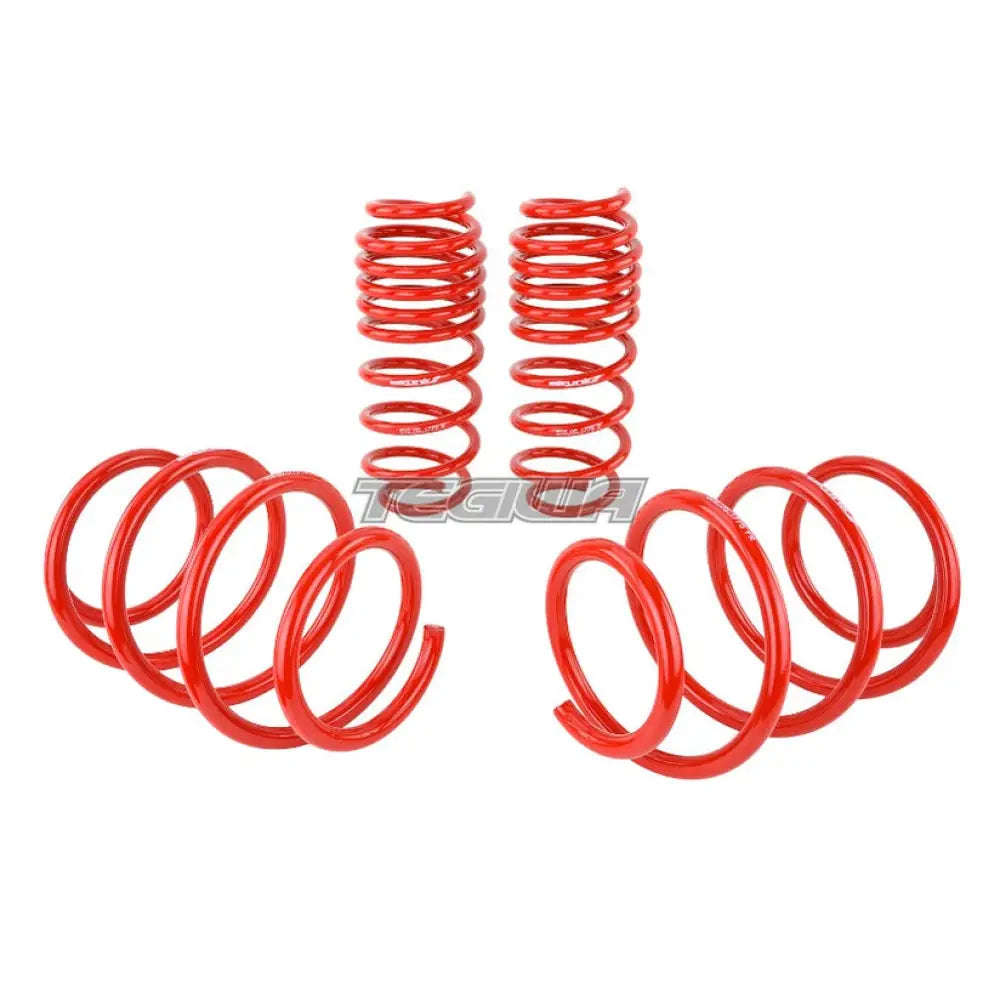 Skunk2 Lowering Spring Kit Honda Civic FK7 1.5T 16-17