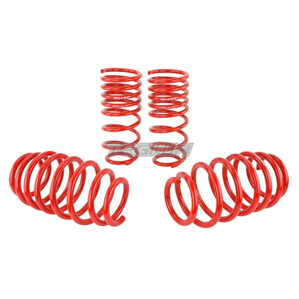 Skunk2 Lowering Spring Kit Honda Civic Si 06-11