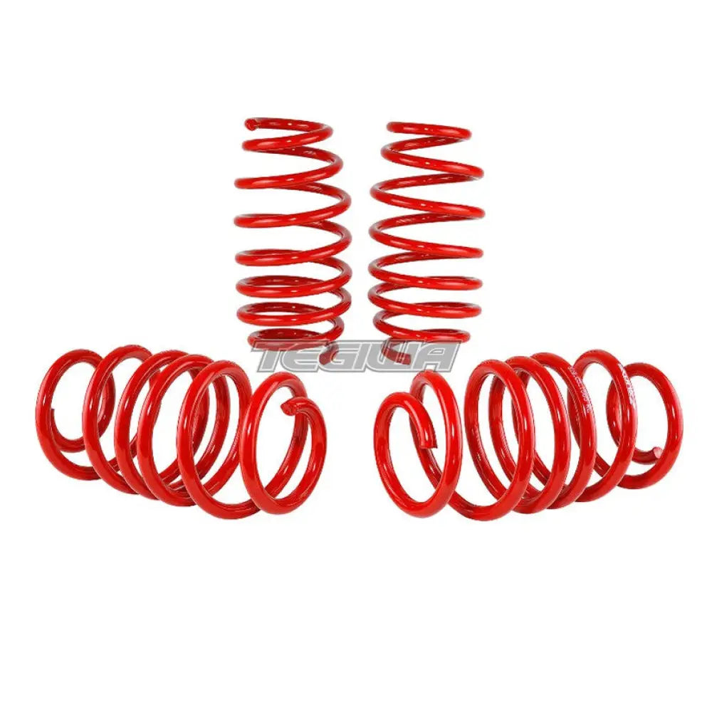 Skunk2 Lowering Spring Kit Honda Civic Si 12-15