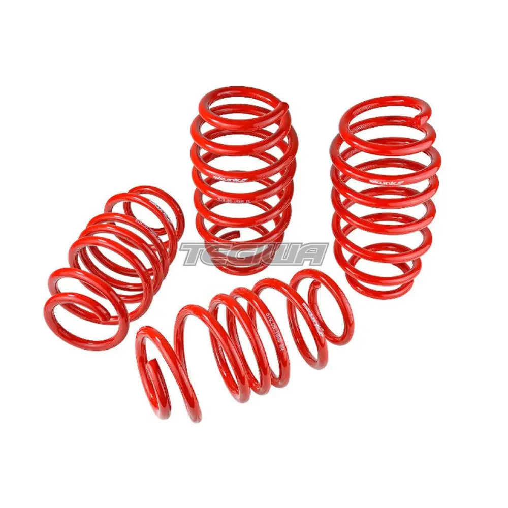 Skunk2 Lowering Spring Kit Honda Civic Si 12-15