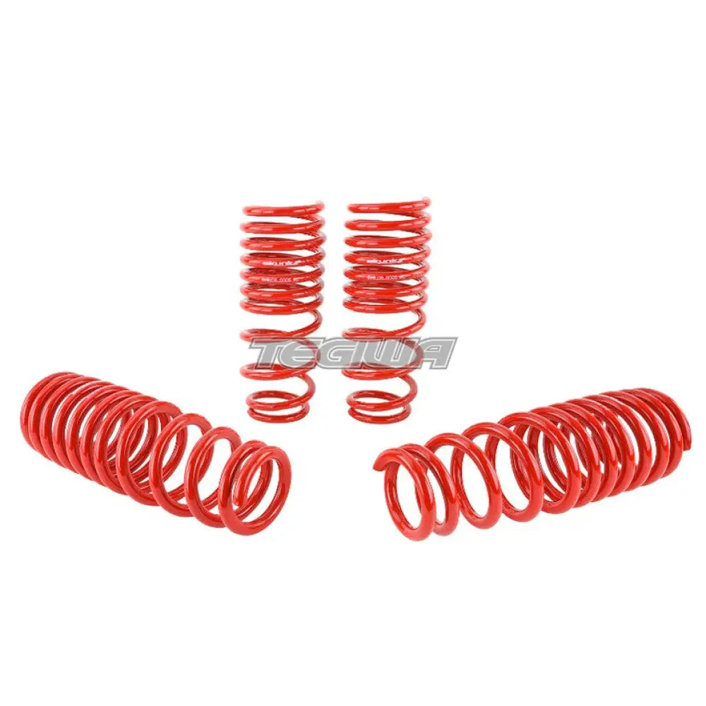 Skunk2 Lowering Springs Honda Civic EG 92-95