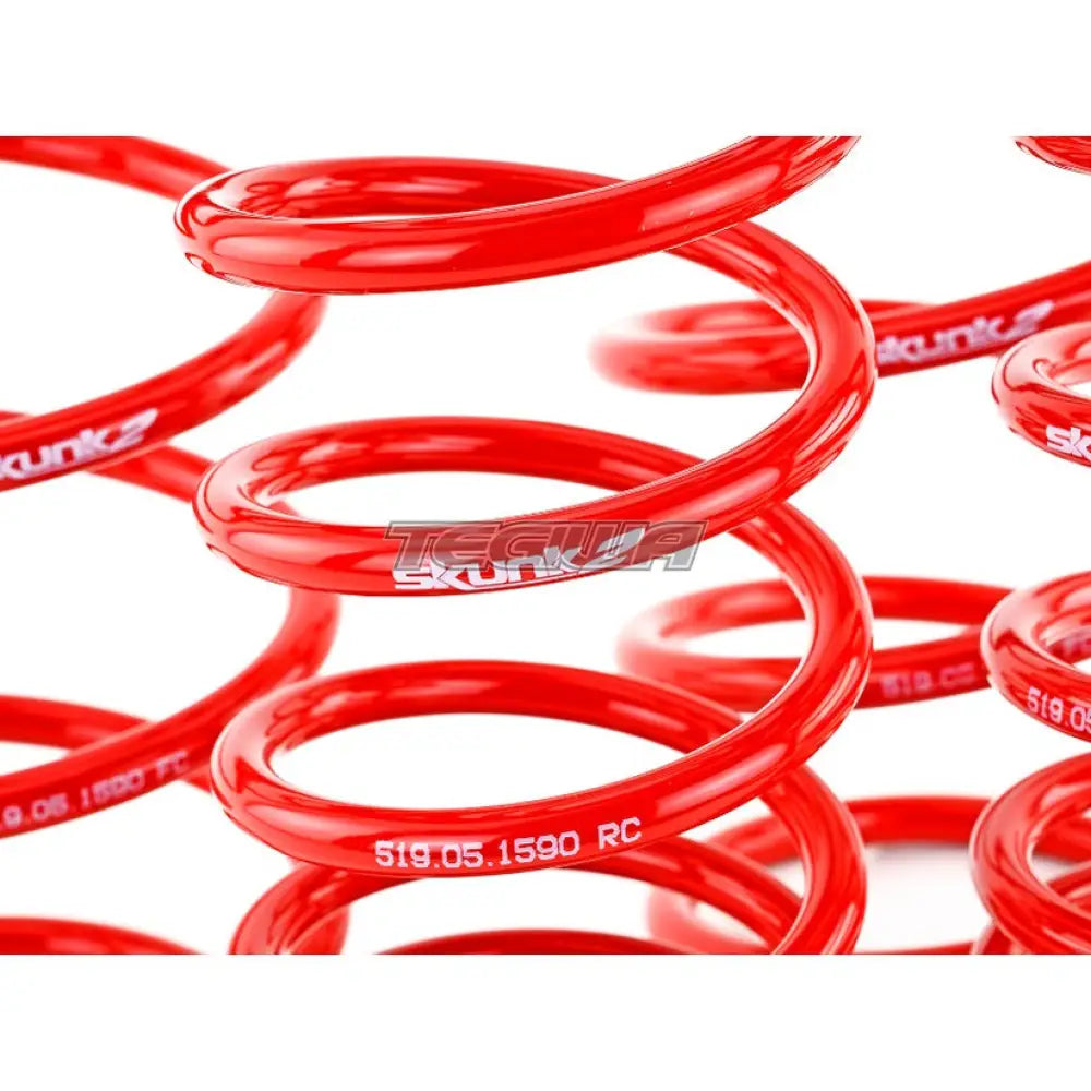 Skunk2 Lowering Springs Honda Civic Type R FN2 07-11