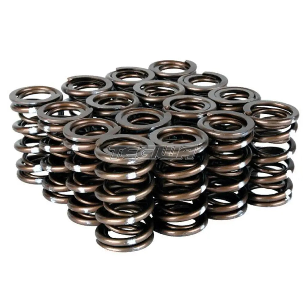 Skunk2 Pro Series XP Valve Springs Honda B-Series H-Series