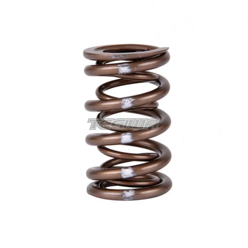 Skunk2 Pro Series XP Valve Springs Honda B-Series H-Series