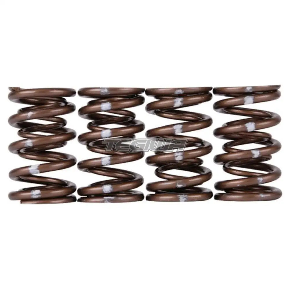 Skunk2 Pro Series XP Valve Springs Honda B-Series H-Series