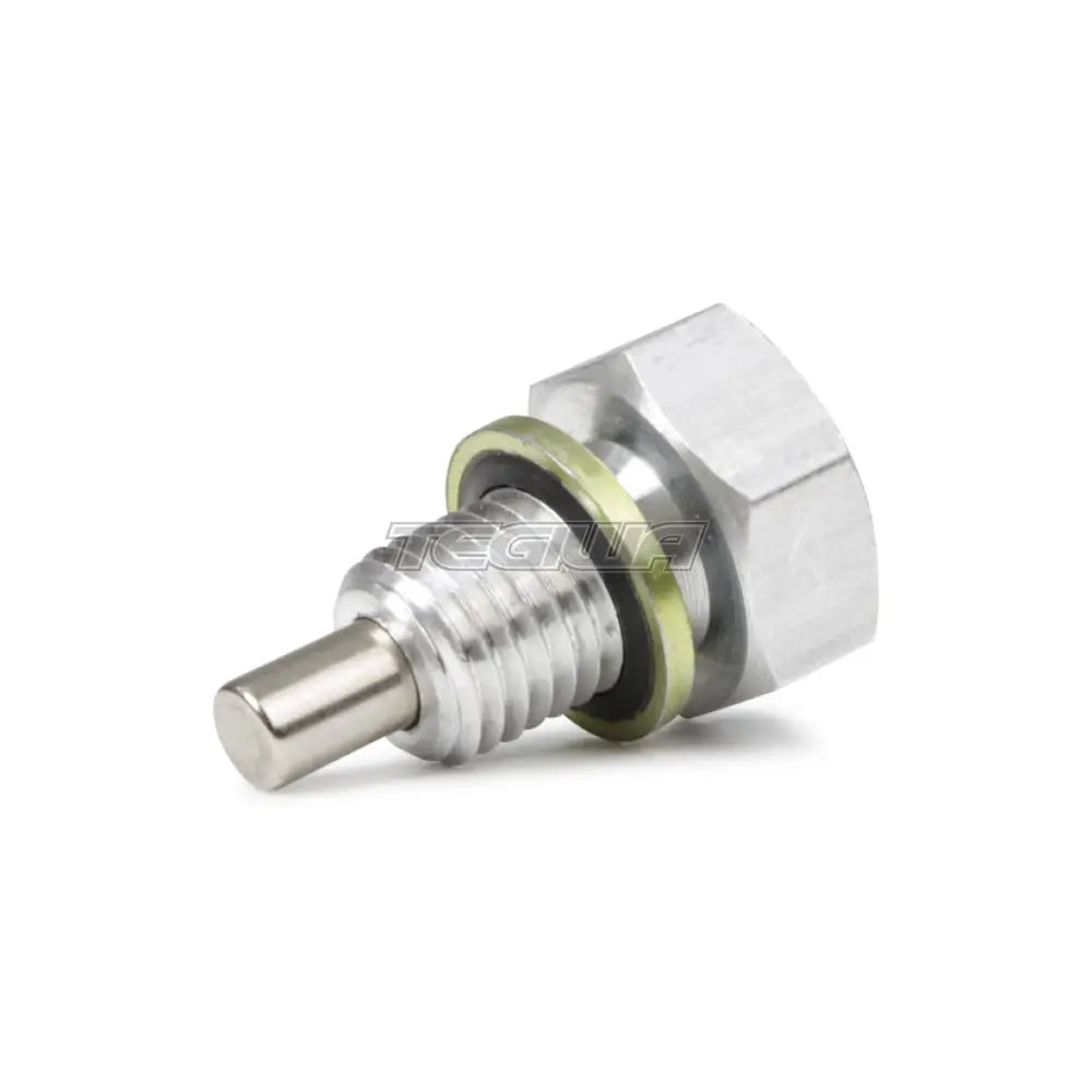 Tegiwa Magnetic Radiator Plug