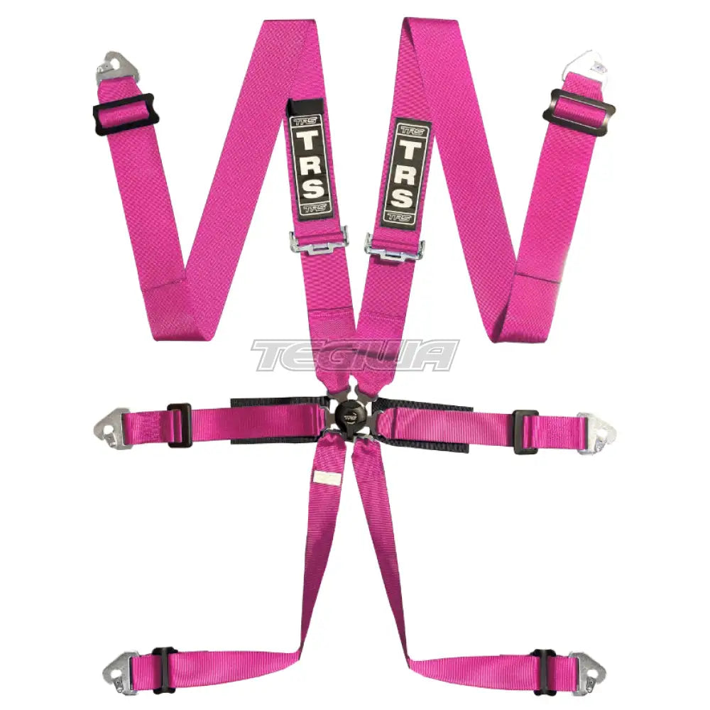 Trs Pro 2In/3In 6 Point Fia Harness Standard – Entry Level / Pink Harnesses