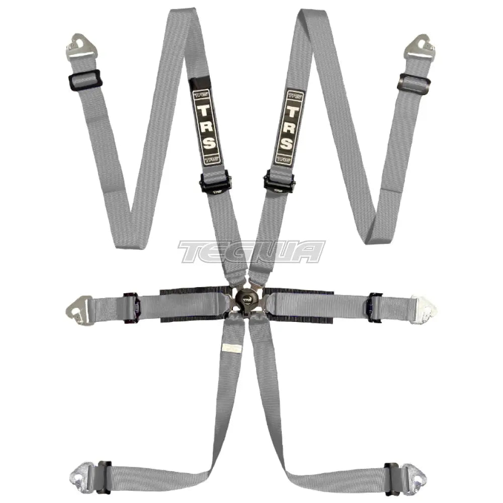 Trs Pro International 2In 6 Point Fia Hans Harness Superlite - Mid-Range / Grey Harnesses