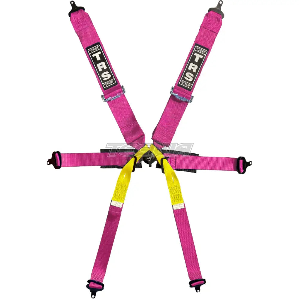 Trs Pro Single Seater 2In/3In 6 Point Fia Harness Standard – Entry Level / Pink Harnesses