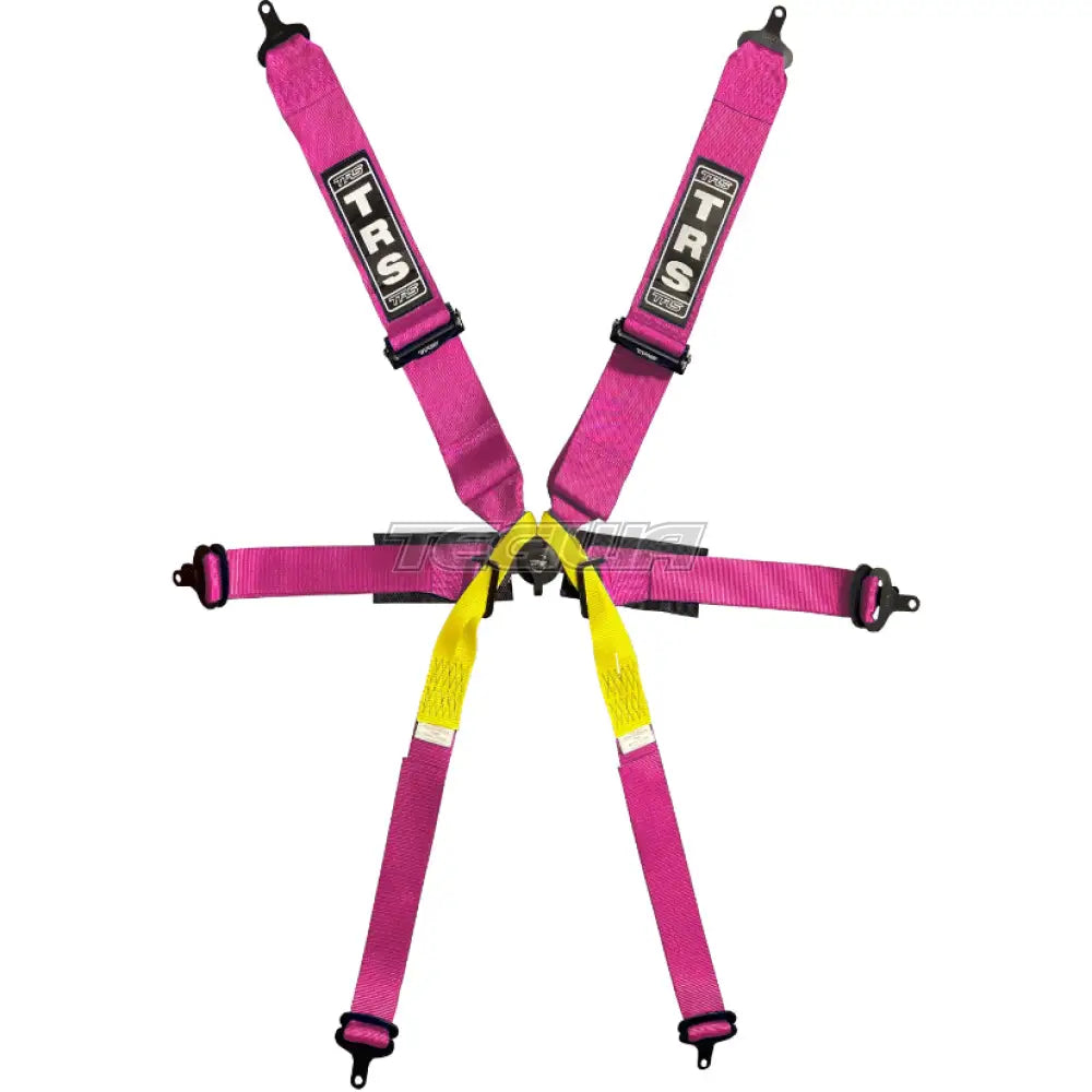 Trs Pro Single Seater 2In/3In 6 Point Fia Harness Superlite - Top Of The Range / Pink Harnesses